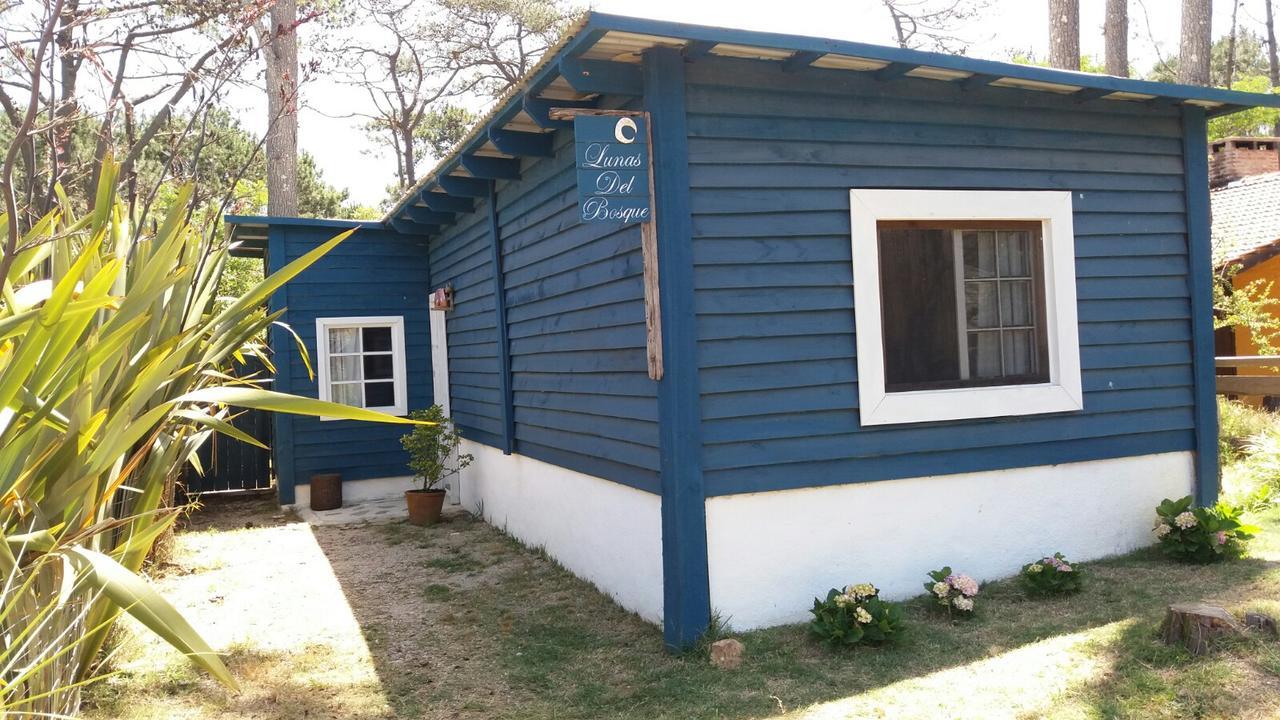 Lunas Del Bosque Cabana Y Apartamento En Suite La Paloma Luaran gambar